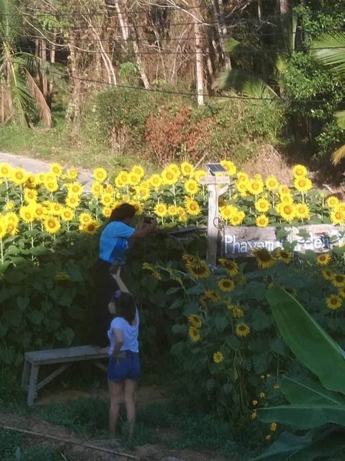 Phayam Garden View Hotell Koh Phayam Eksteriør bilde