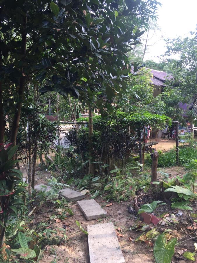 Phayam Garden View Hotell Koh Phayam Eksteriør bilde