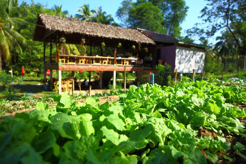 Phayam Garden View Hotell Koh Phayam Eksteriør bilde